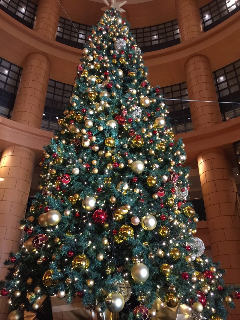 ザ・ベーシックス福岡 　クリスマスツリー